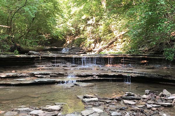 Rentschler Forest Metropark